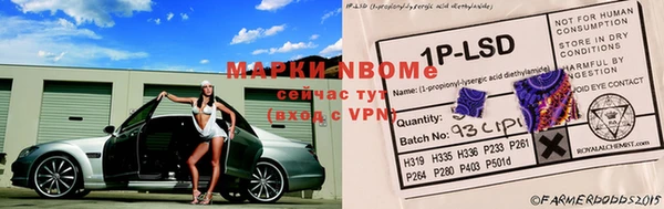 spice Алзамай