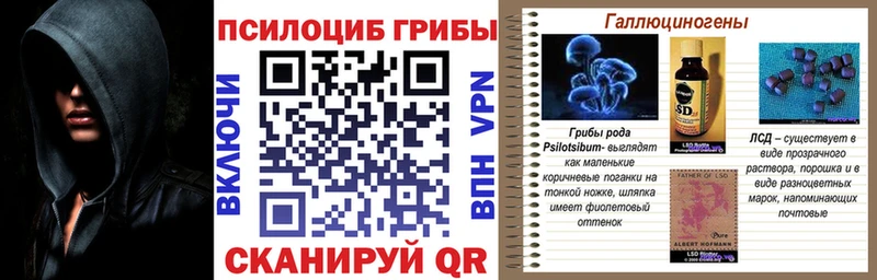 omg сайт  Полярные Зори  Псилоцибиновые грибы Psilocybe  закладки 
